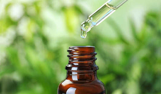 Desenvolvimento da homeopatia no século XIX e XX